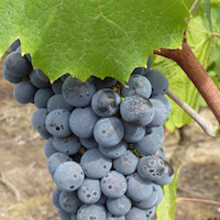 Rubrique actualite min